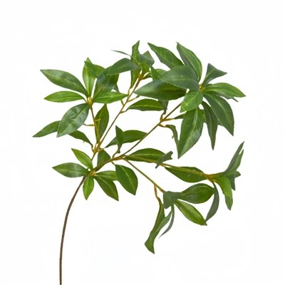 Hoja verde falsa
